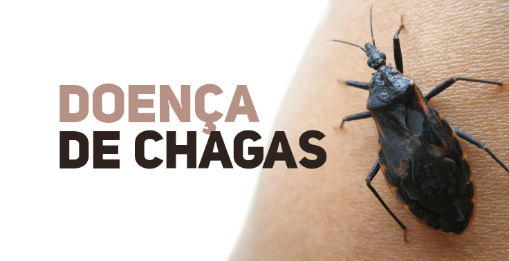 CONSCIENTIZAÇÃO SOBRE A DOENÇA DE CHAGAS